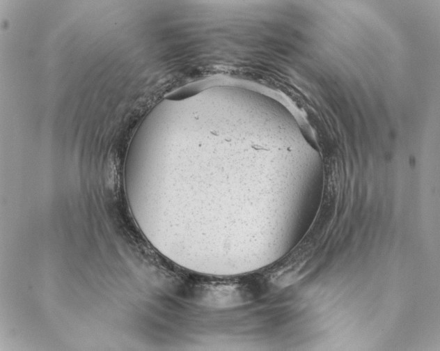 X0000088580651200706151712