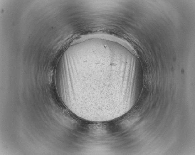 X0000088580652200706151712