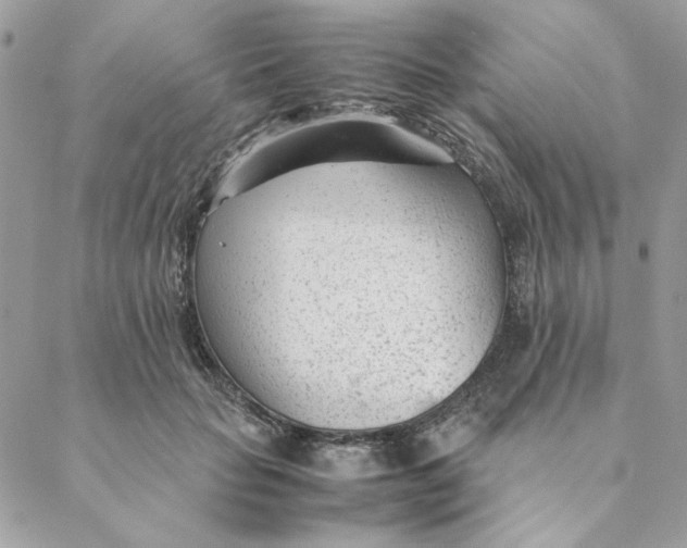 X0000088580653200706151712