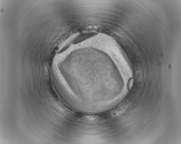 X0000088580654200706151712