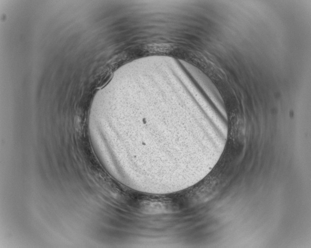 X0000088580655200706151712