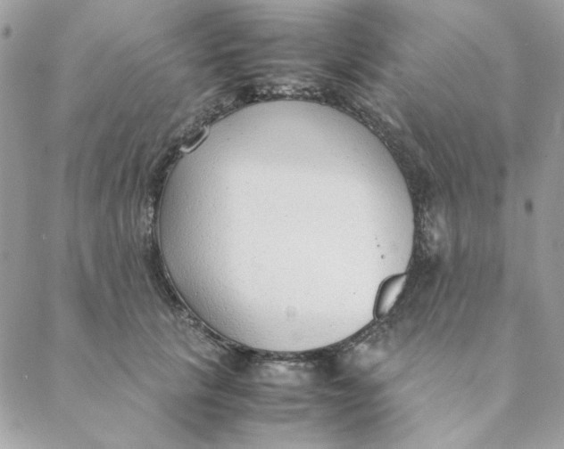 X0000088580657200706151713