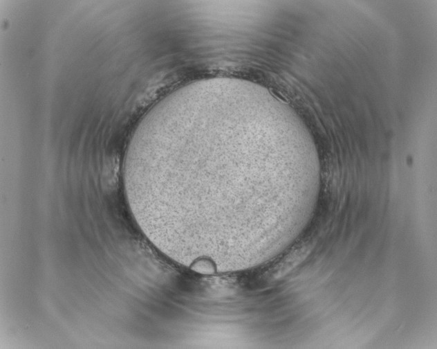 X0000088580660200706151713