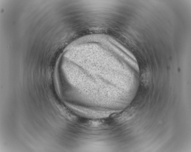 X0000088580662200706151713