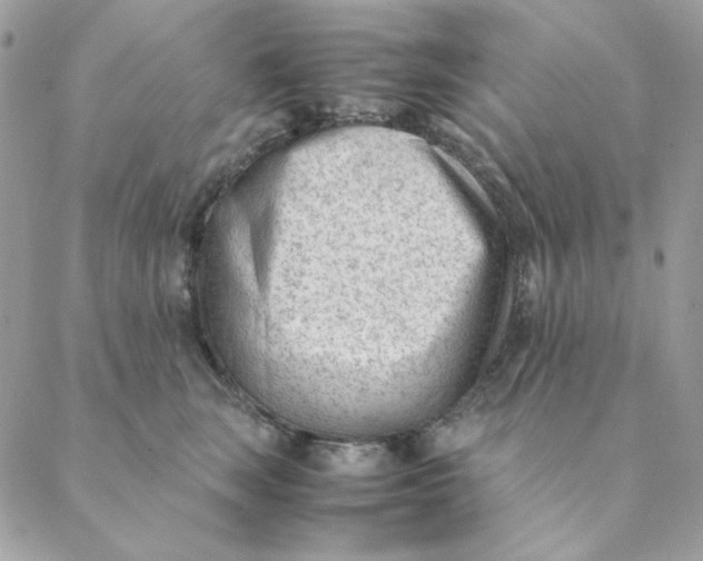 X0000088580663200706151713