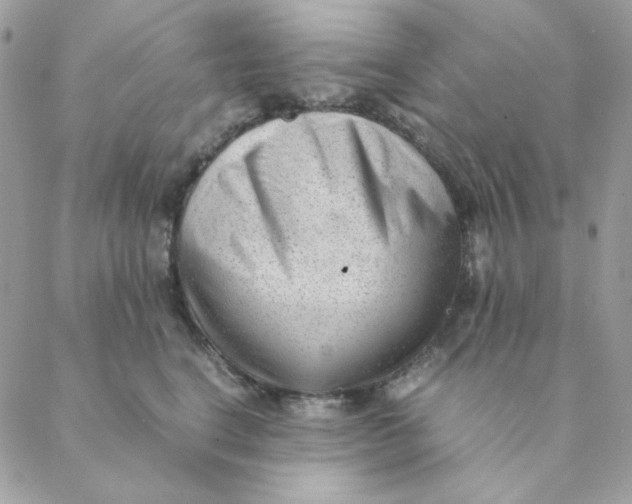 X0000088580664200706151713