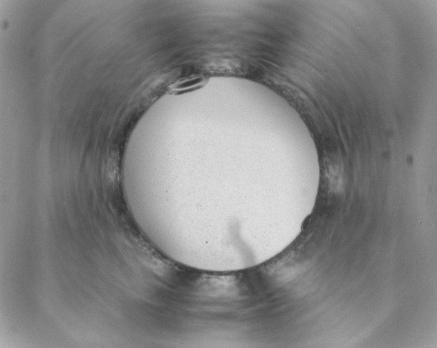 X0000088580665200706151713