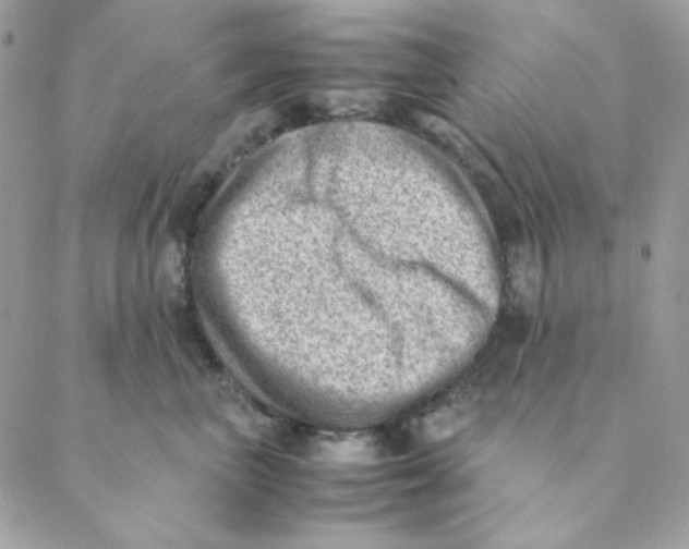 X0000088580667200706151713