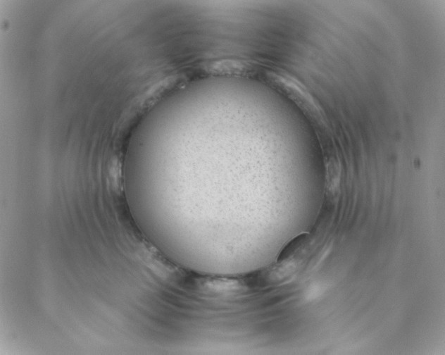 X0000088580669200706151713