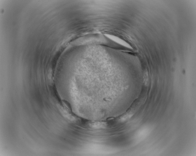 X0000088580670200706151713