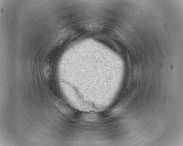 X0000088580671200706151713