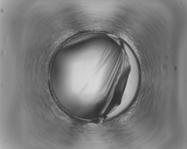 X0000088580673200706151712