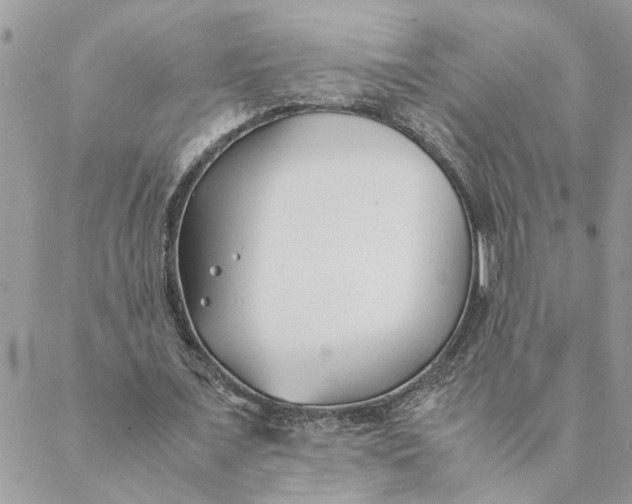 X0000088580675200706151712