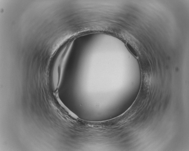 X0000088580676200706151712