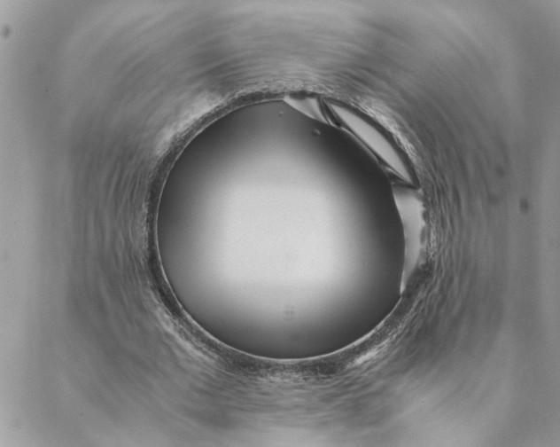 X0000088580677200706151712