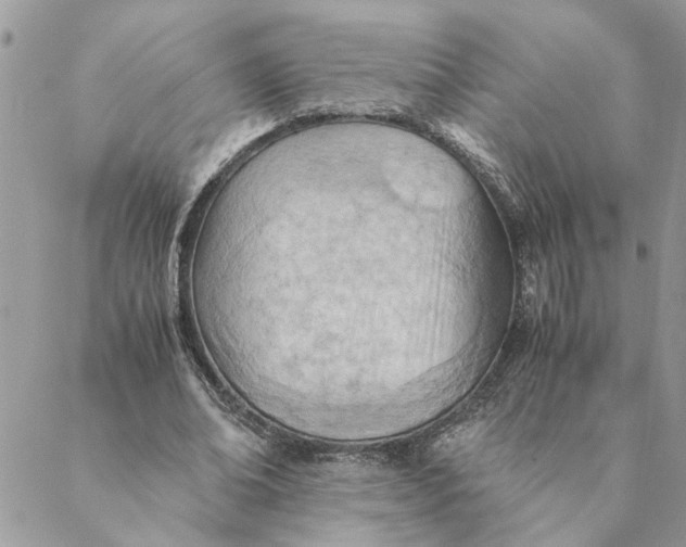 X0000088580678200706151712