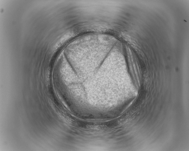 X0000088580679200706151712