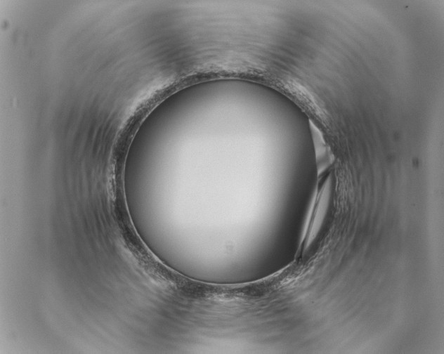 X0000088580680200706151712