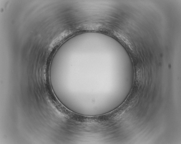 X0000088580682200706151712