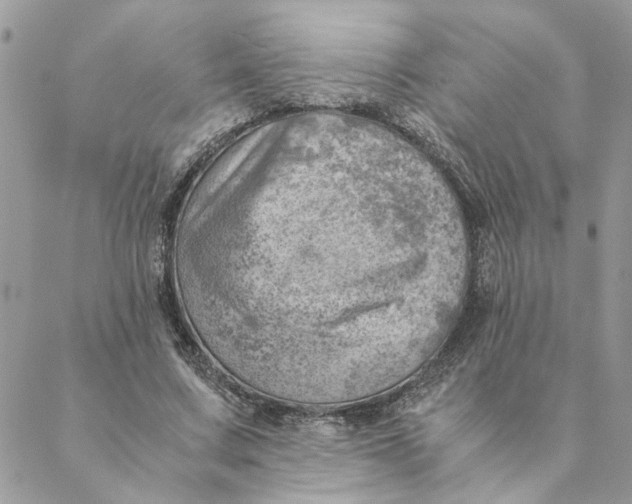 X0000088580683200706151712