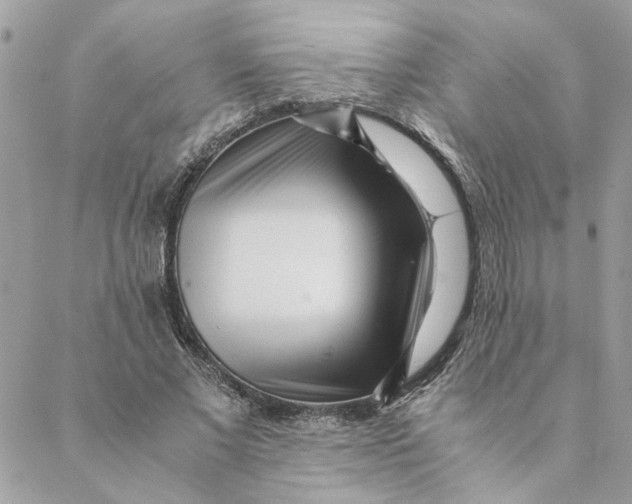 X0000088580685200706151712