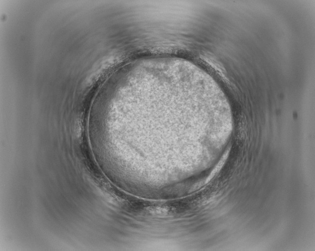 X0000088580687200706151712