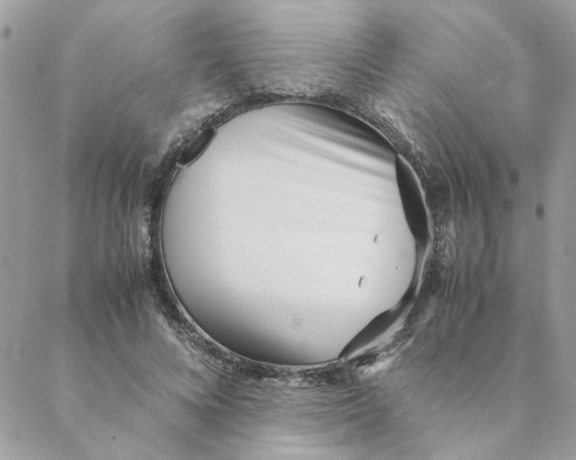 X0000088580688200706151712