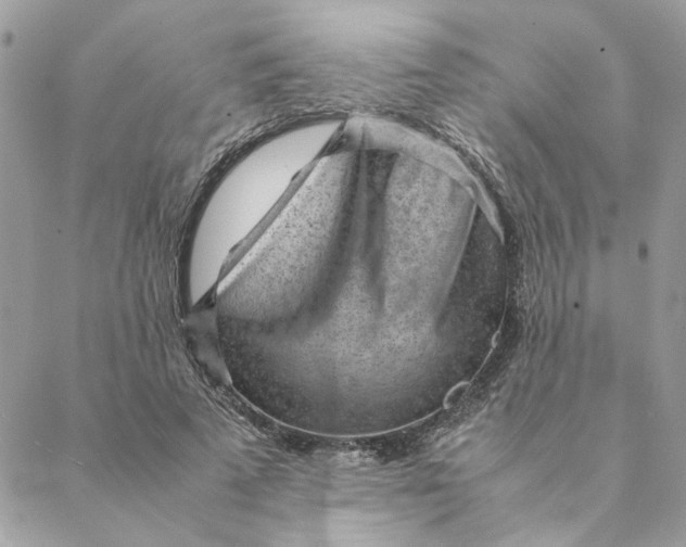 X0000088580689200706151712