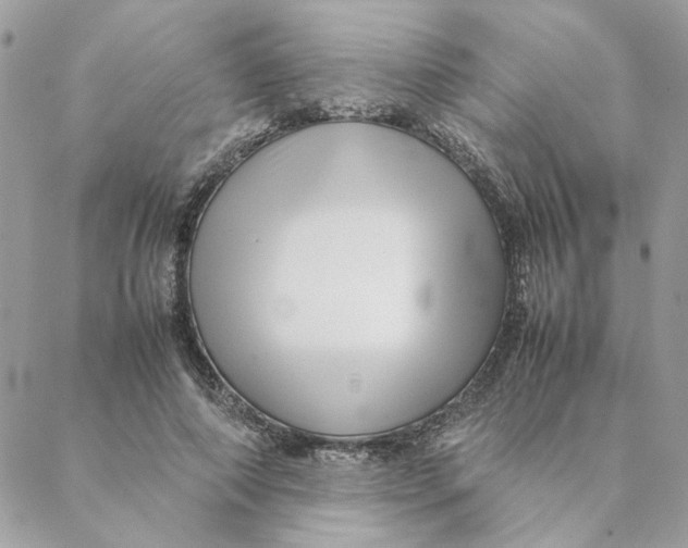 X0000088580690200706151712