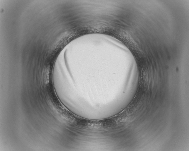 X0000088580694200706151712