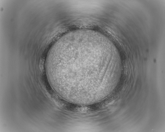 X0000088580695200706151712