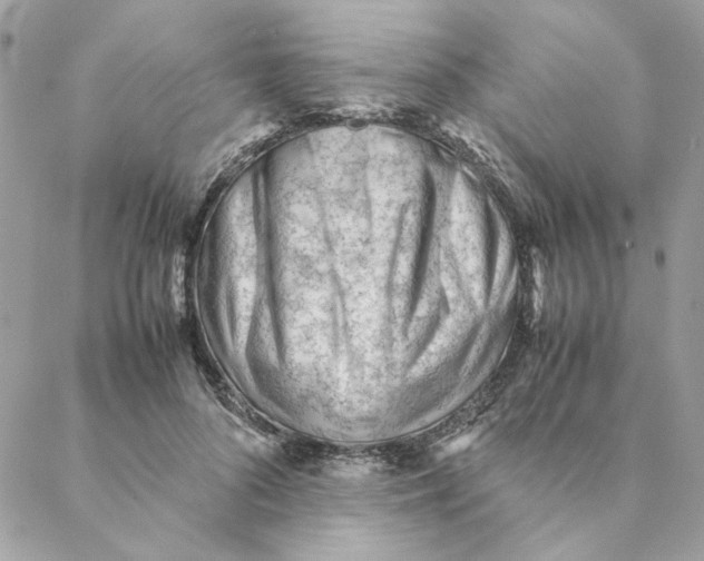 X0000088580696200706151712