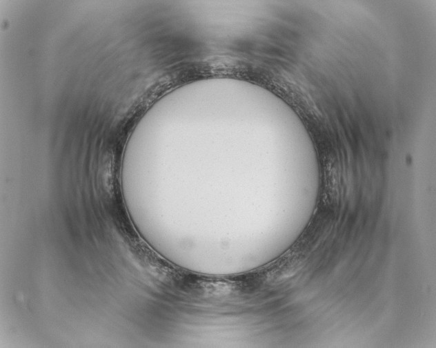 X0000088580698200706151712