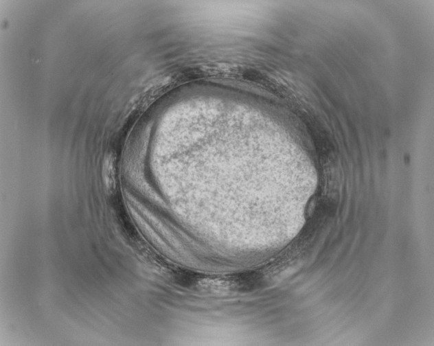 X0000088580699200706151712