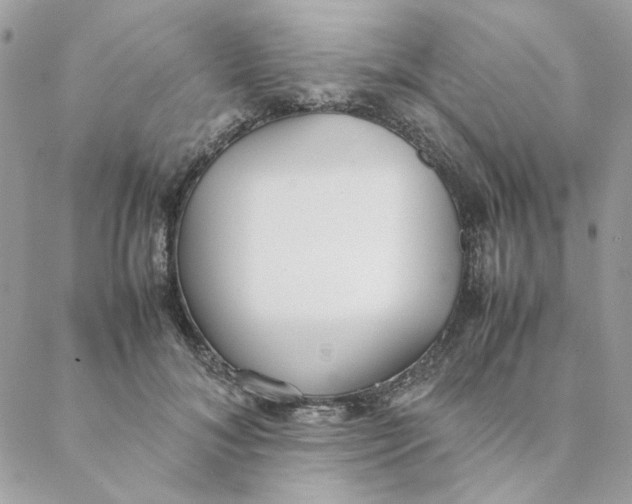 X0000088580700200706151712