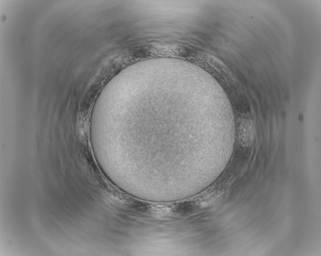 X0000088580701200706151712