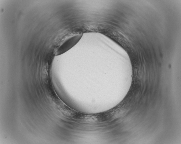 X0000088580702200706151712