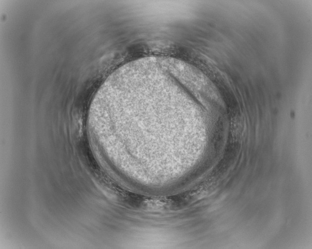 X0000088580703200706151711