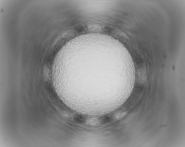 X0000088580705200706151711