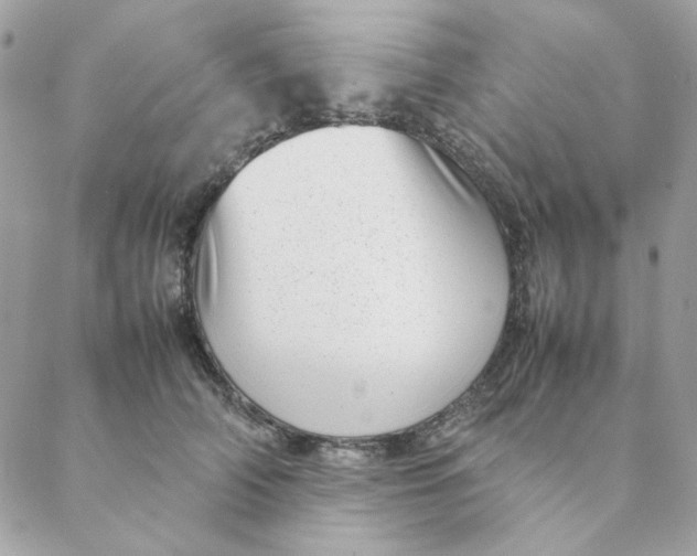 X0000088580706200706151711