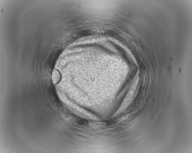 X0000088580707200706151711