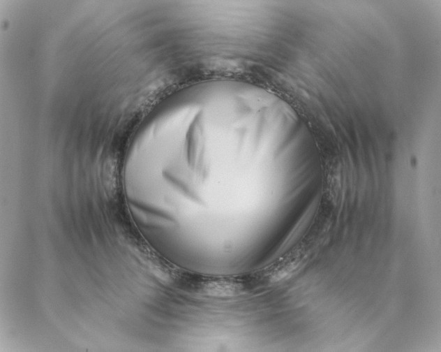 X0000088580708200706151711