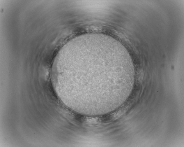 X0000088580709200706151711