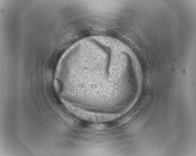 X0000088580711200706151711