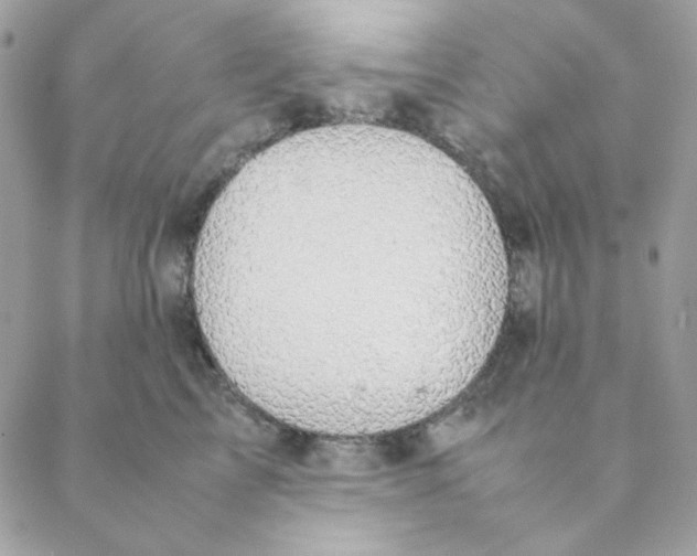 X0000088580713200706151711