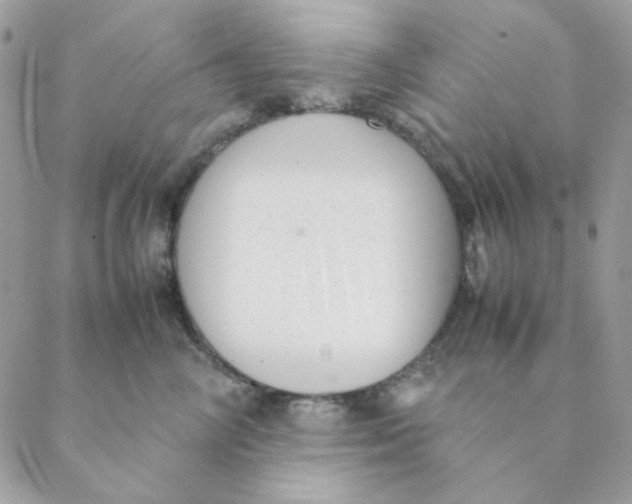 X0000088580714200706151711