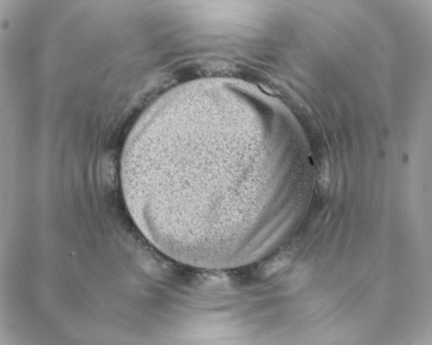 X0000088580715200706151711