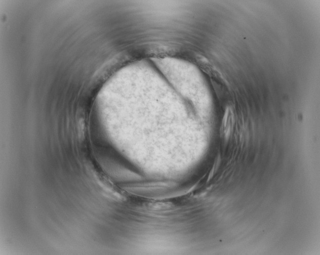 X0000088580716200706151711