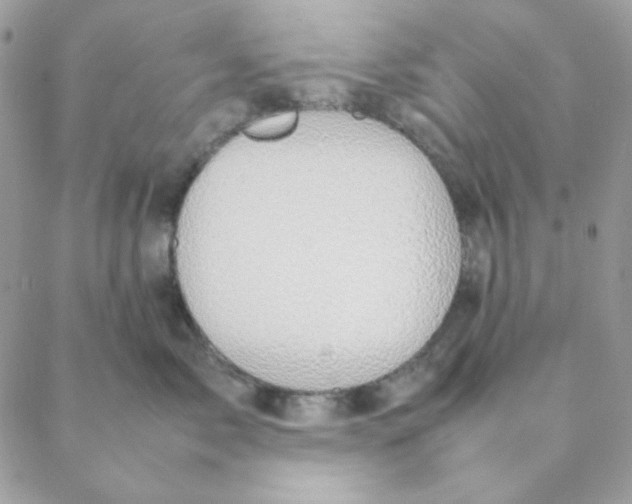 X0000088580717200706151711