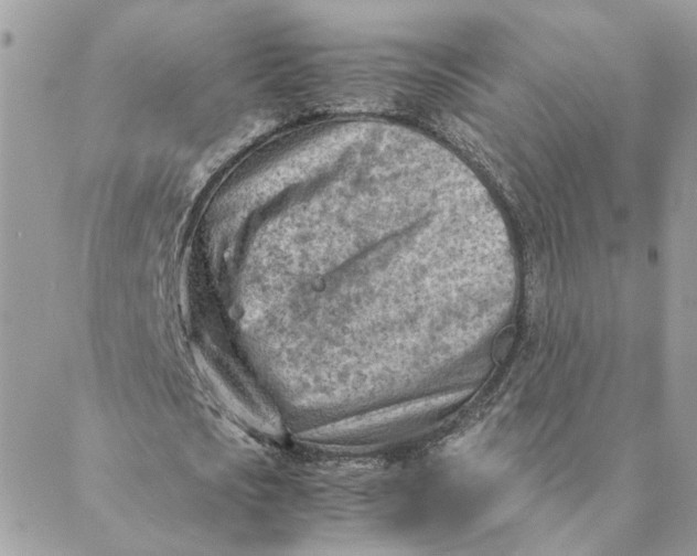 X0000088580721200706151710